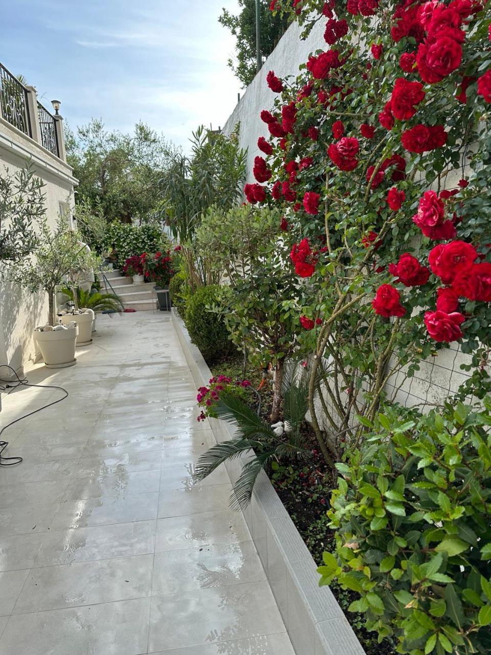 Villabijela21 * Ulcinj